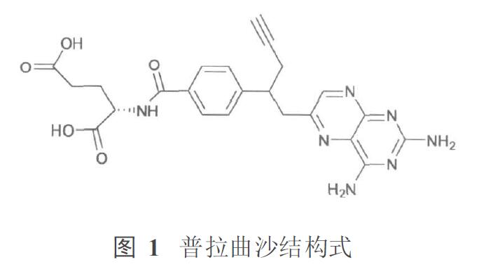 普拉曲沙.jpg